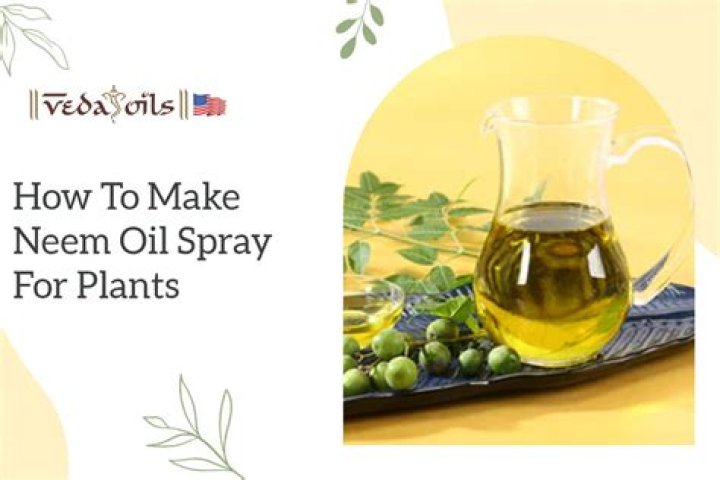 How do you make neem oil spray for plants