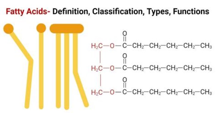 How do you oxidize fatty acids