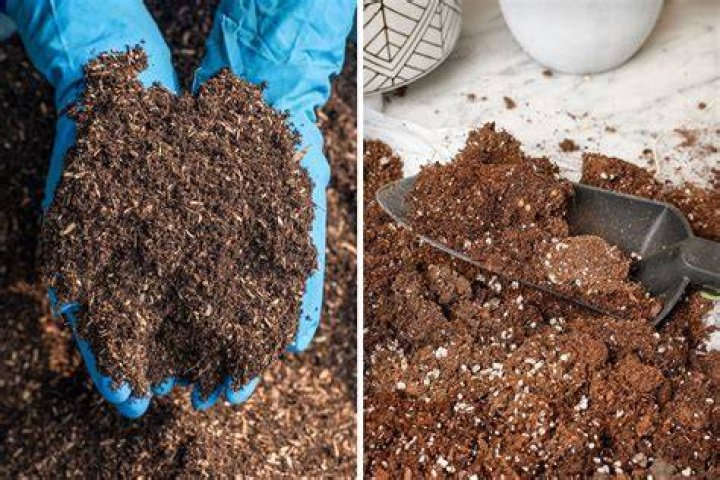 How do you pasteurize potting soil