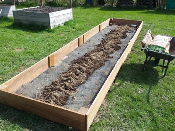 How do you prepare a bed for asparagus