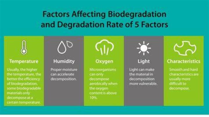 How does biodegradable help the environment