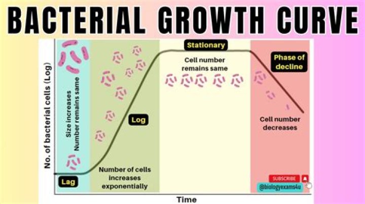 How does freezing stop bacterial growth