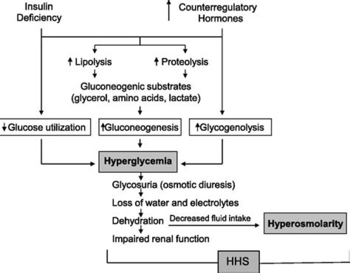 How does hyperglycemia cause Pseudohyponatremia
