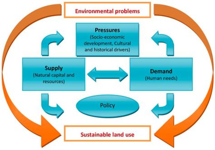 How does resource allocation differ in the different economic systems