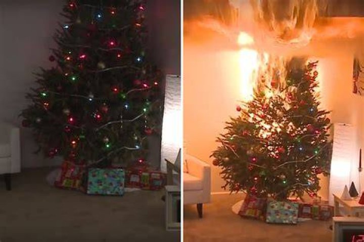 How fast a Christmas tree can catch fire
