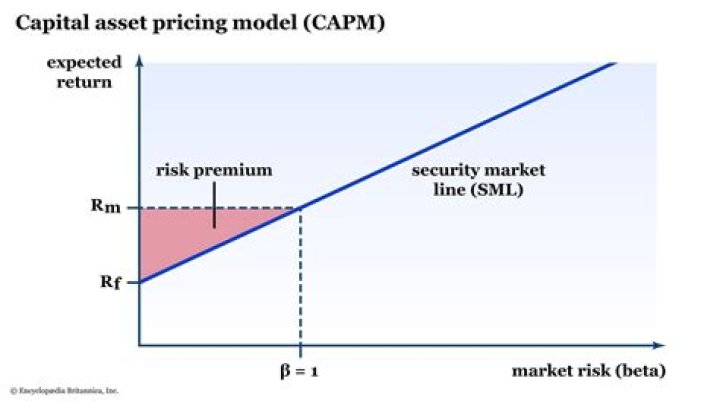 How financial markets determine asset prices