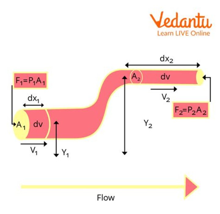 How is Bernoullis principle applied to the circulatory system
