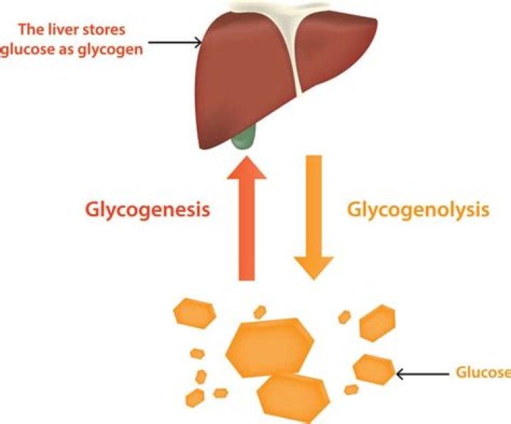 How is Glycogenesis regulated
