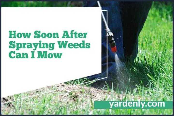 How long after I spray for weeds can I mow
