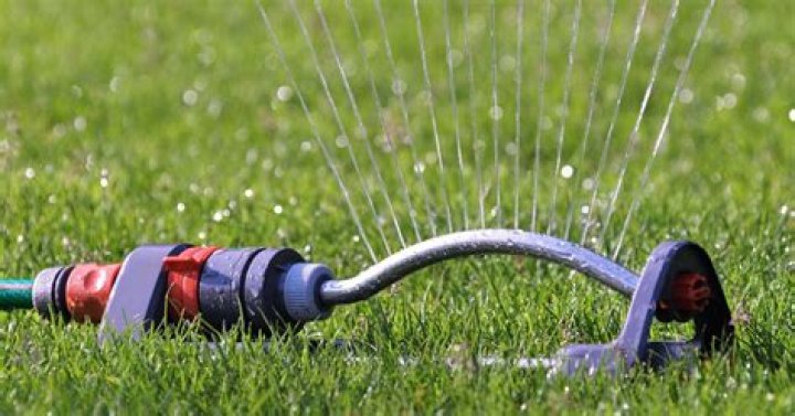 How long should you water your lawn with an oscillating sprinkler