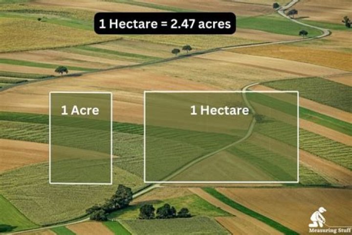 How many acres is bedgebury