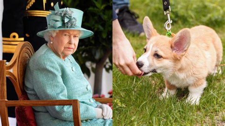 How many cars does the Queen have