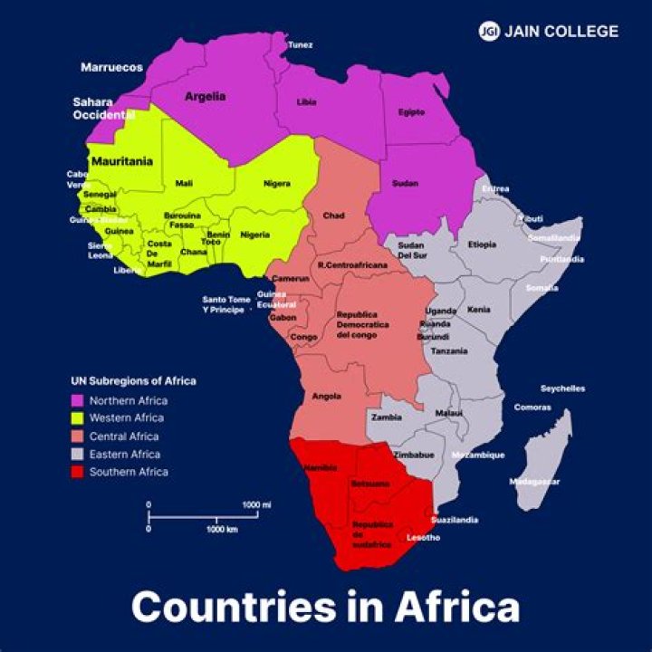 How many countries in Africa are represented in the g20