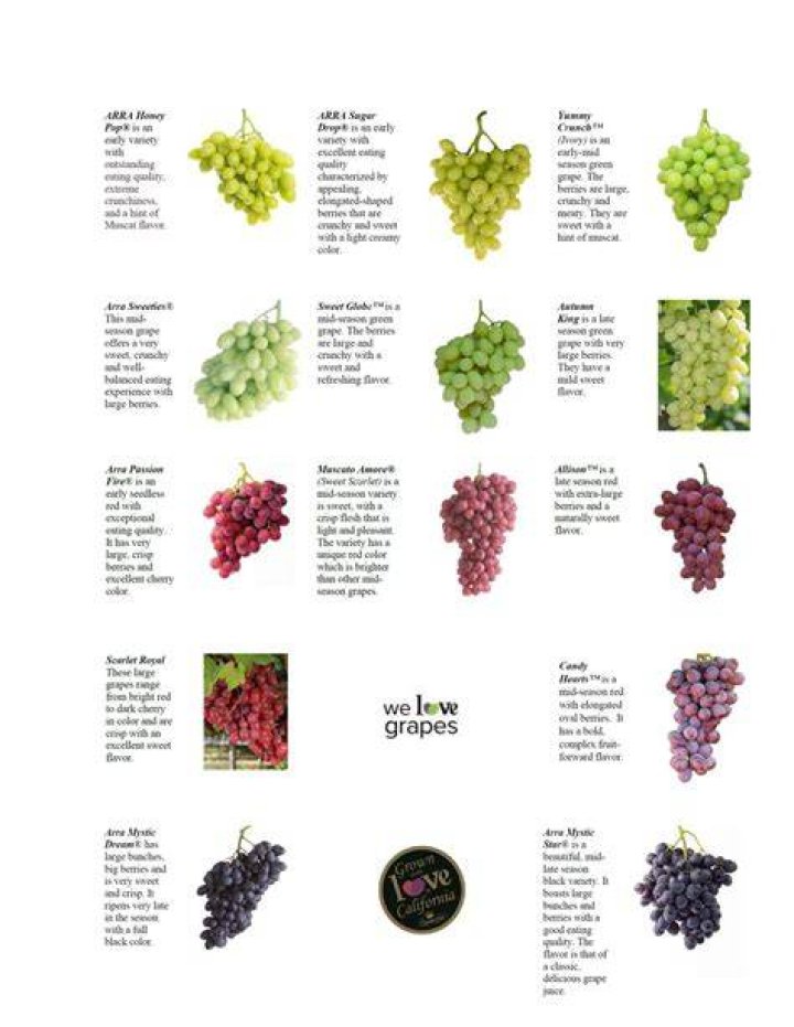 How many hectares of grapes are in Marlborough