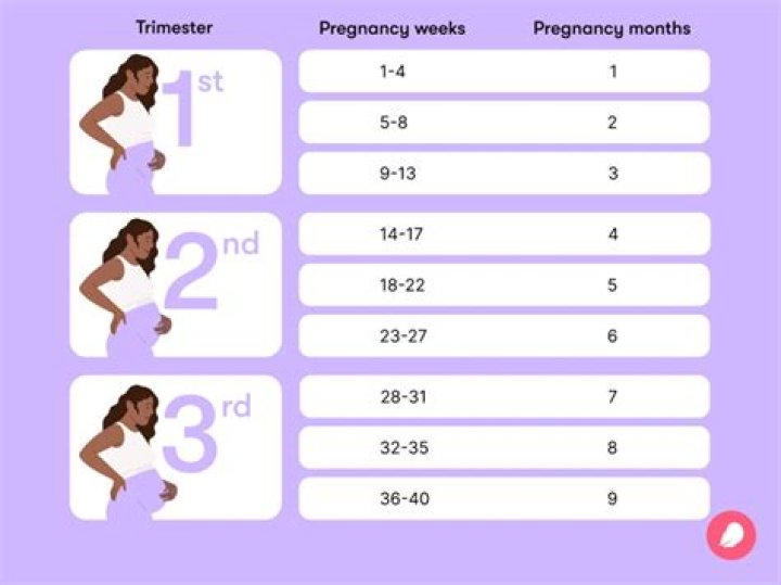 How many weeks are there in February 2015