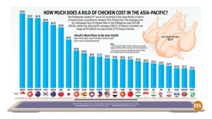 How much does a fighting chicken cost