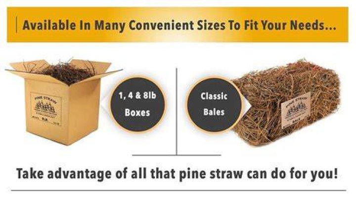 How much is a bale of pine straw