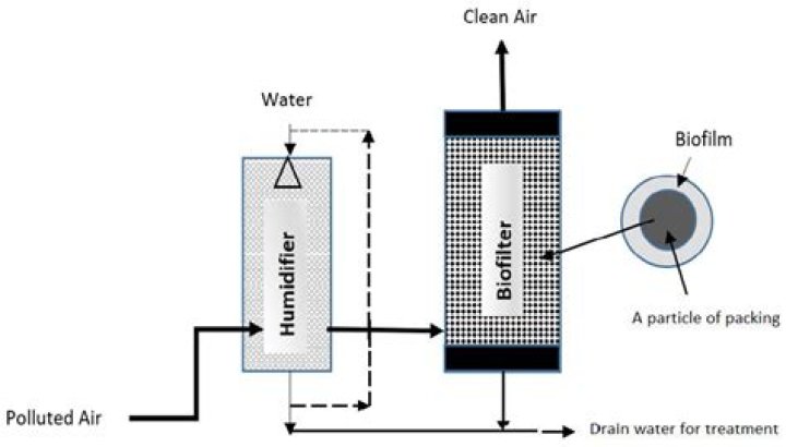 Is Bake top or bottom element