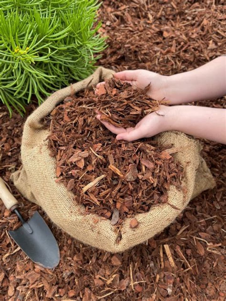 Is bark good for landscaping