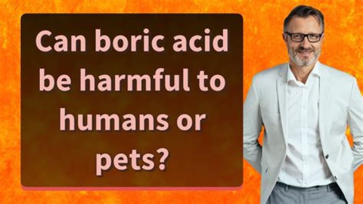 Is boric acid harmful to humans and animals