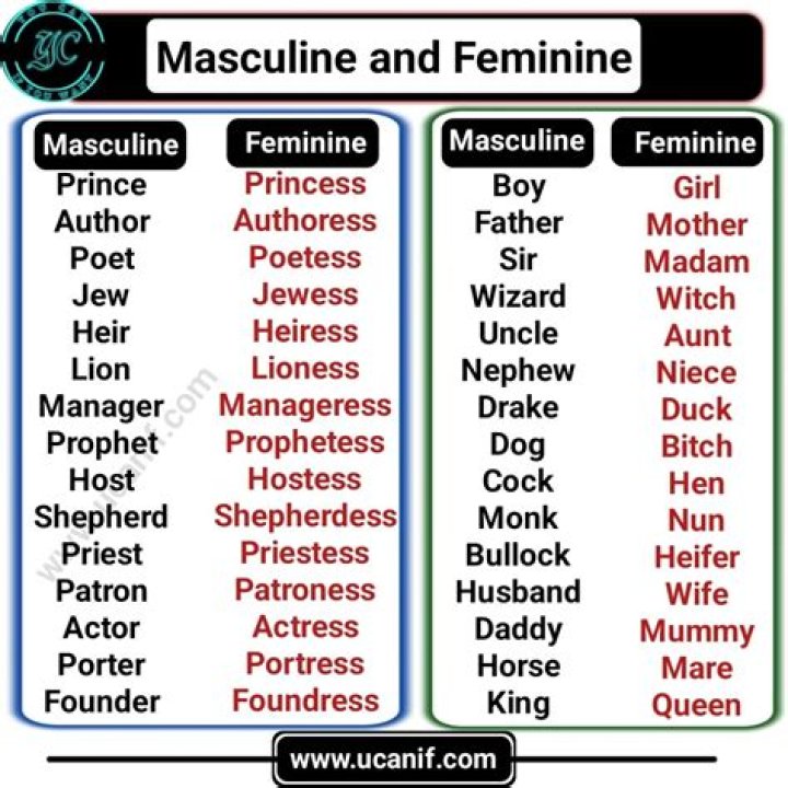 Is cafeteria masculine or feminine