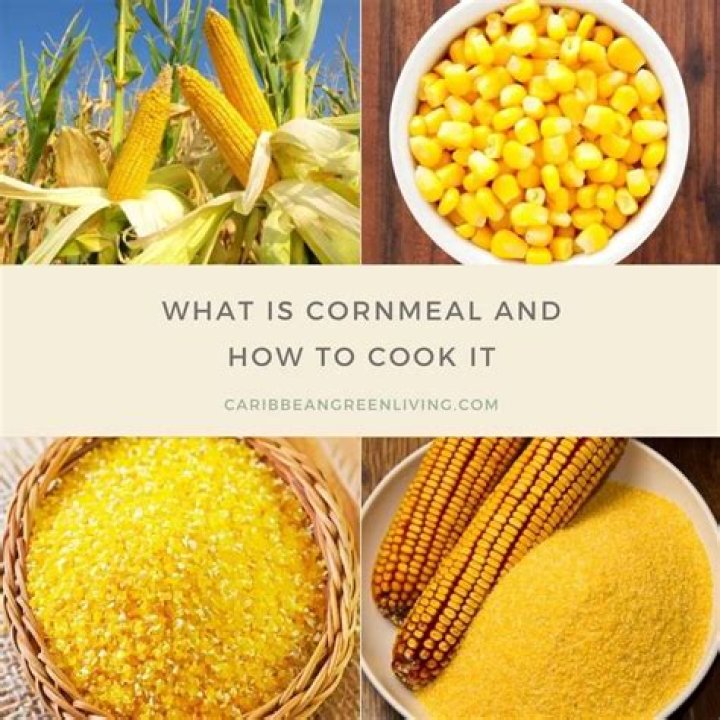 Is cornmeal good for lawns