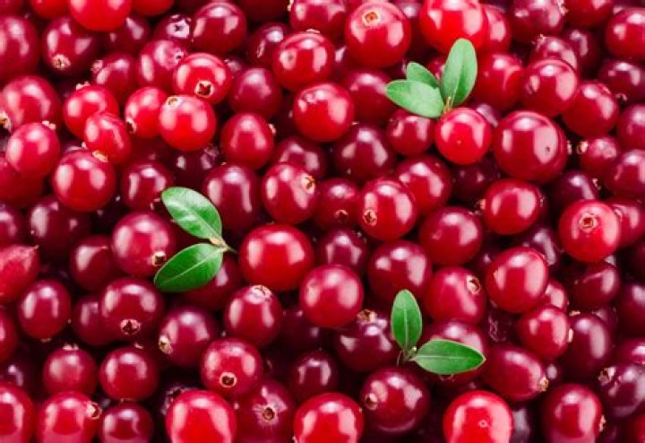 Is Cranberry a fruit