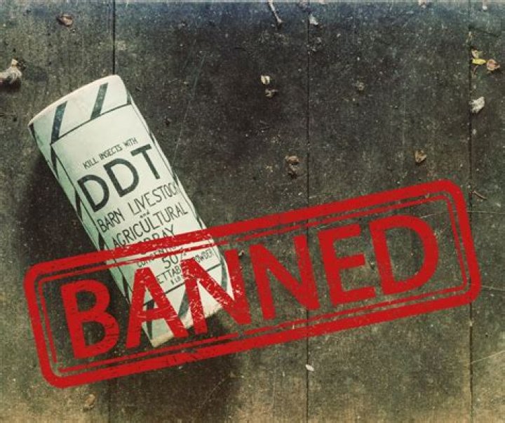 Is DDT illegal