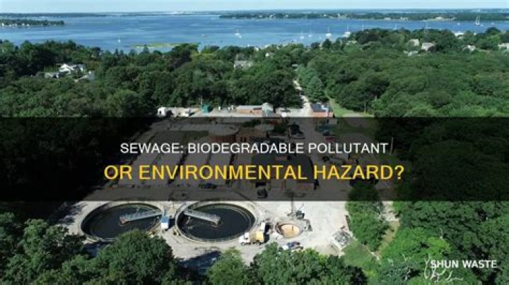Is domestic sewage biodegradable