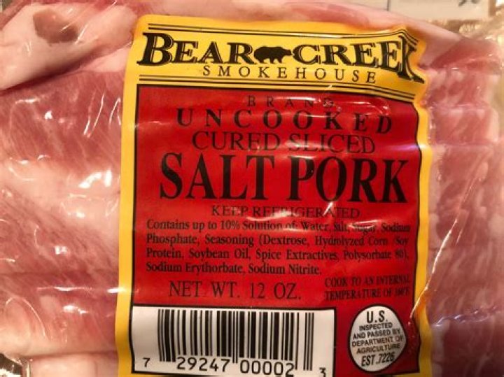 Is fatback and salt pork the same