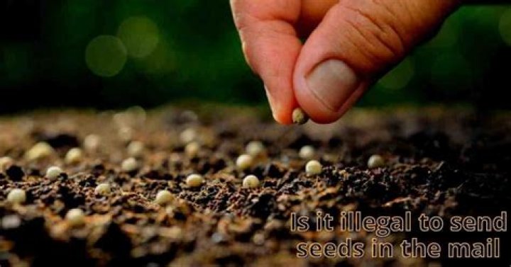 Is it legal to send seeds in the mail