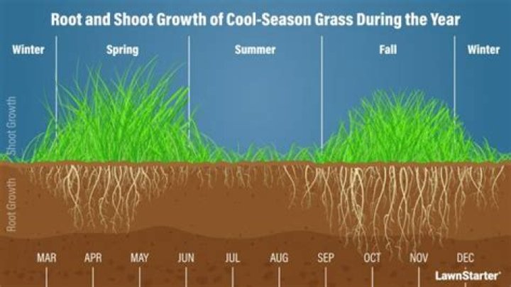 Is it okay to overseed in November
