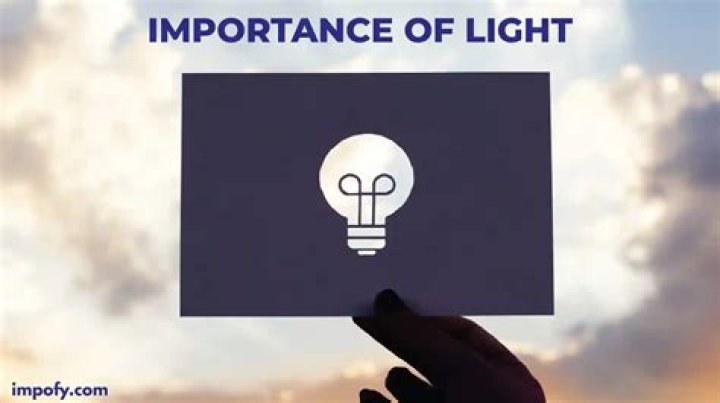 Is light important for germination