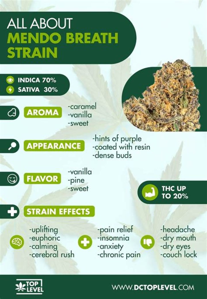 Is Mendo breath good