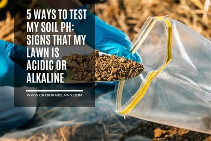 Is my soil alkaline or acidic