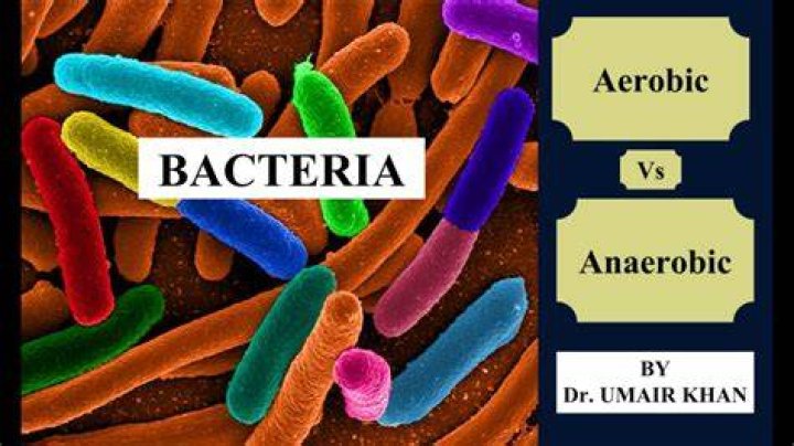 Is Mycobacterium leprae aerobic or anaerobic