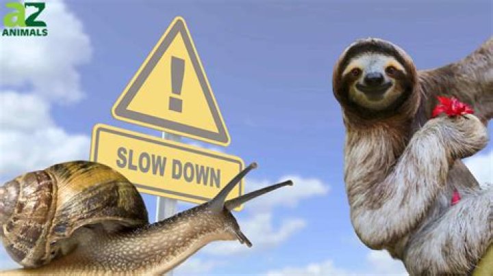 Is react slow