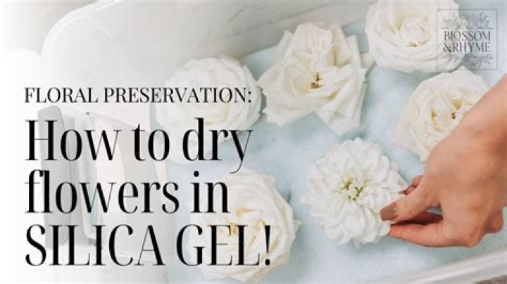 Is silica gel good for plants