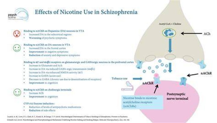 Is vape nicotine synthetic