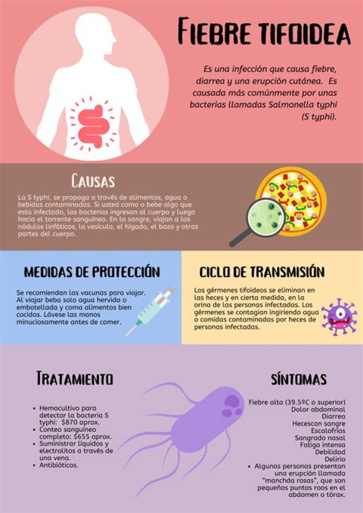 ¿Qué es la fiebre Tifico o