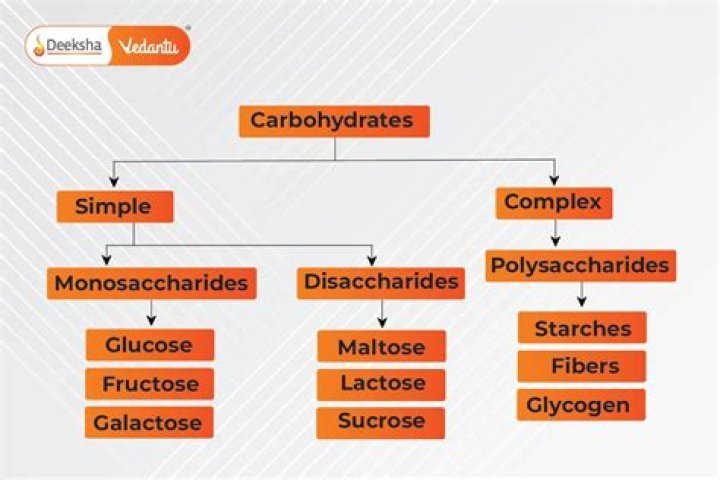 What are digestible and indigestible carbohydrates