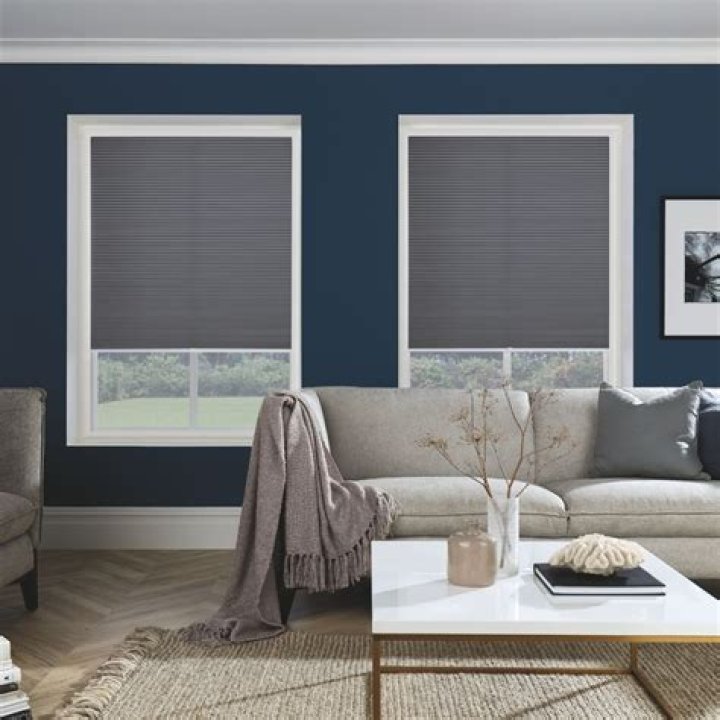What are Duette blinds