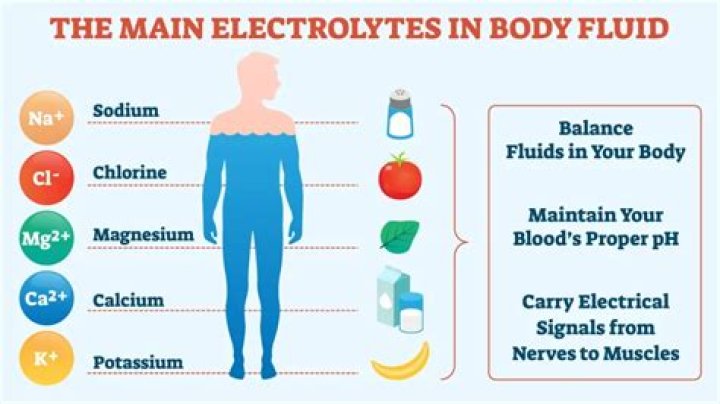 What are fluid electrolytes