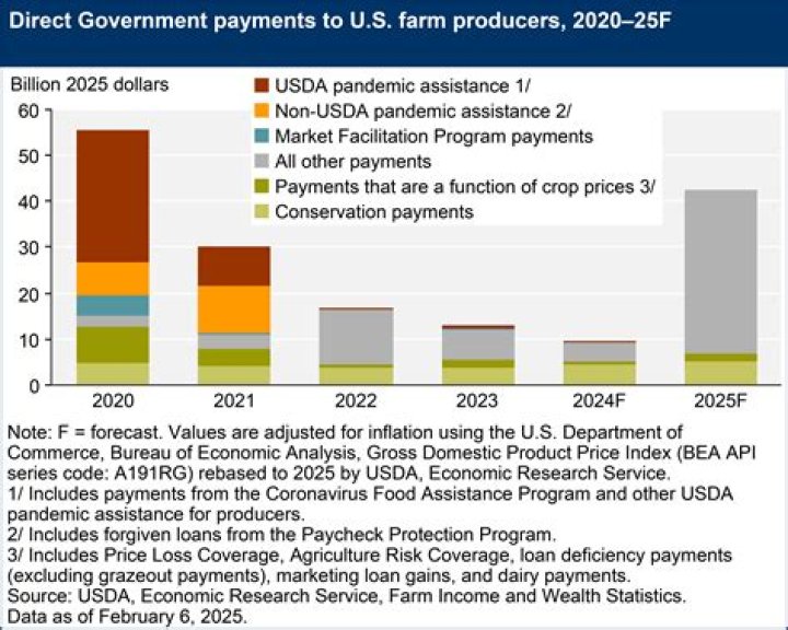 What are government payments to encourage or protect a certain economic activity