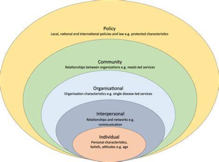 What are organizational factors