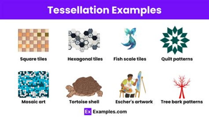 What are tessellations used for