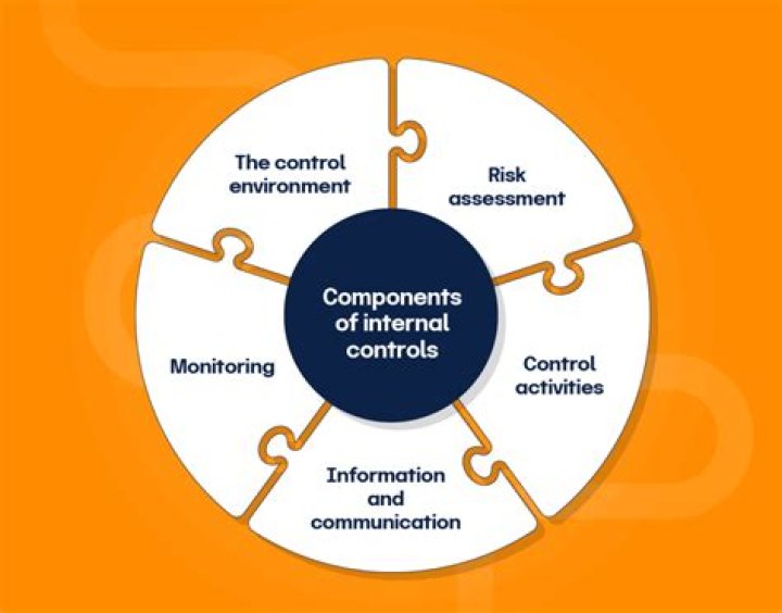 What are the 7 internal control procedures