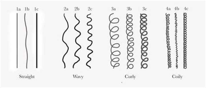 What are the characteristics of normal hair