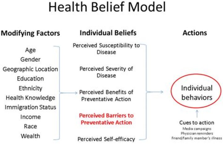 What are the components of the health belief model