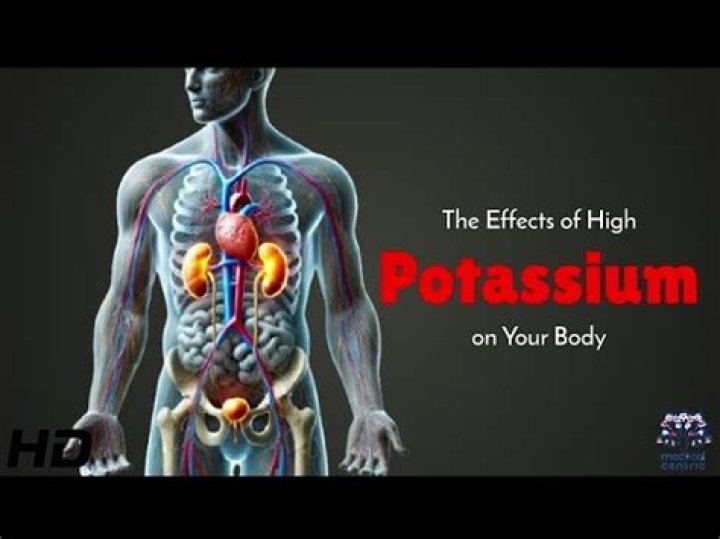 What are the dangers of high potassium